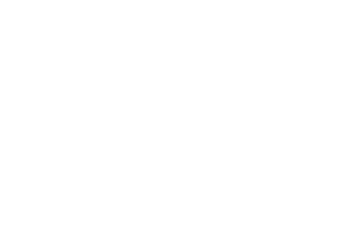 Home Again