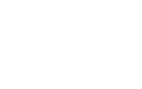 Dangerous Lady