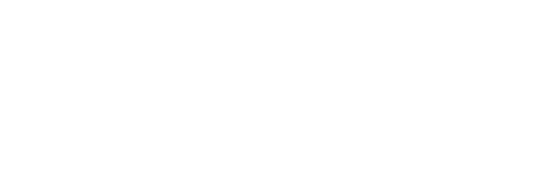 2010
