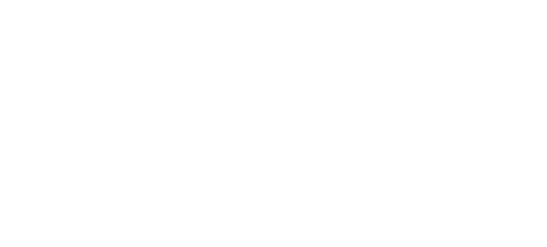 Sophie's Choice