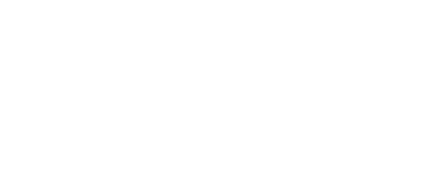 The Woman in the Wall