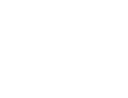 Between Two Worlds