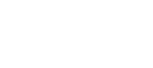 Fancy Dance