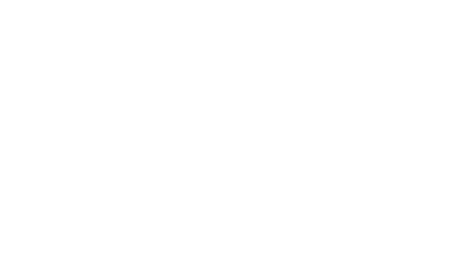 The Invisible Man