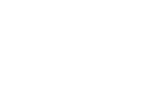 Four Lions