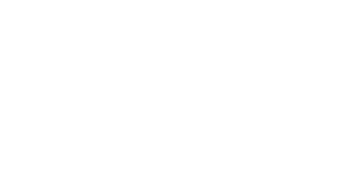 Koala Man