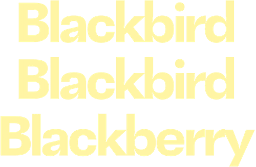 Blackbird Blackbird Blackberry