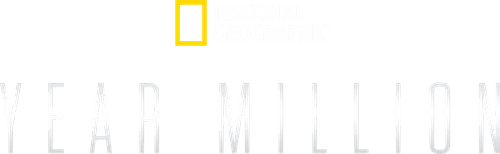 Year Million