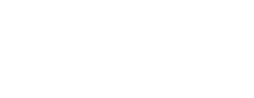 Mad Detective