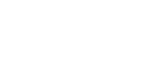 Christmas at the Palace