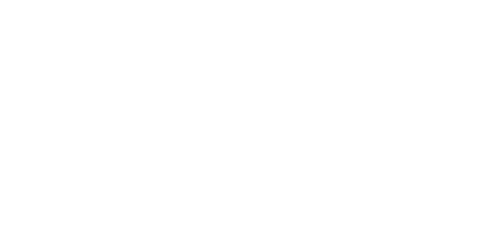 New Life Begins