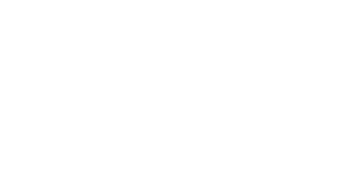 The Americans