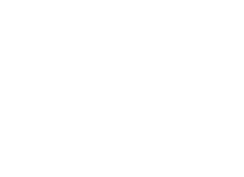 The Fades