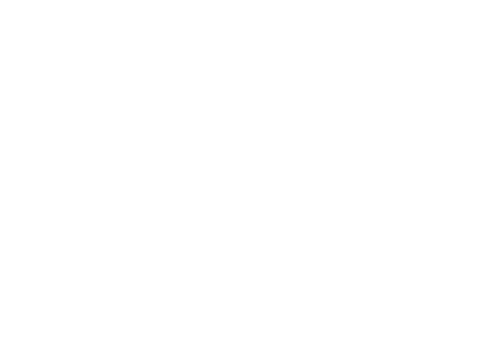 The Long Kiss Goodnight