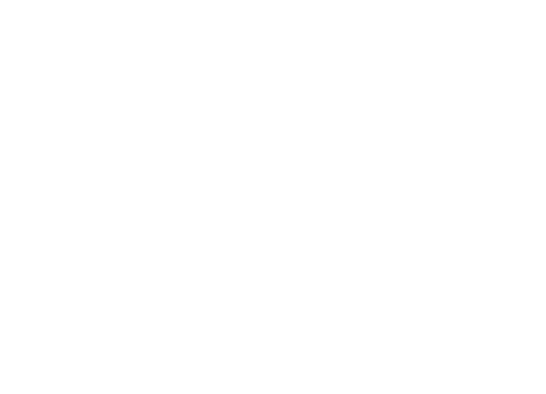 Y: The Last Man