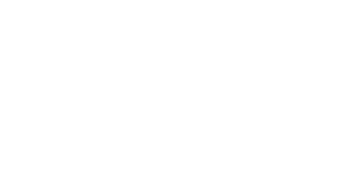 The Lost Brother