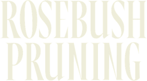 Rosebush Pruning