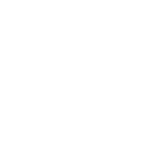 The Shed