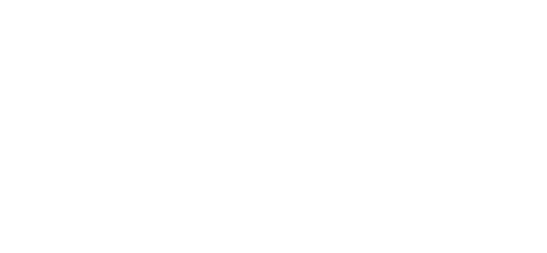 The Wings of Eagles