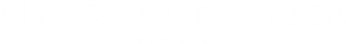 NieR:Automata Ver1.1a