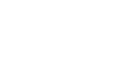 Rough Cut