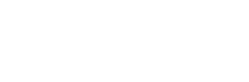 The Good Wife