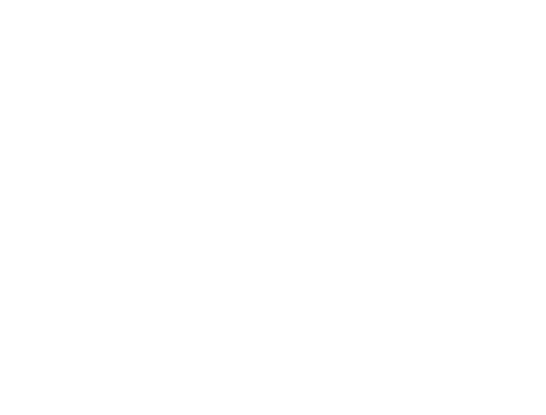 The Suicide Squad