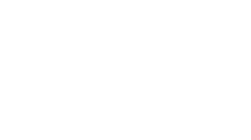 Love Forecast