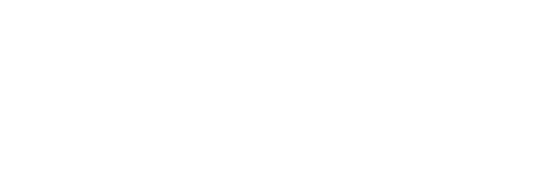 Return of the Street Fighter