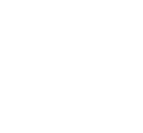 The Godfather Part II