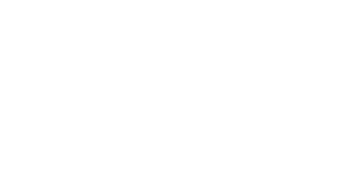 The Classified File