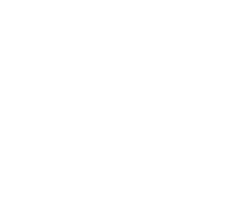 Year of the Rabbit