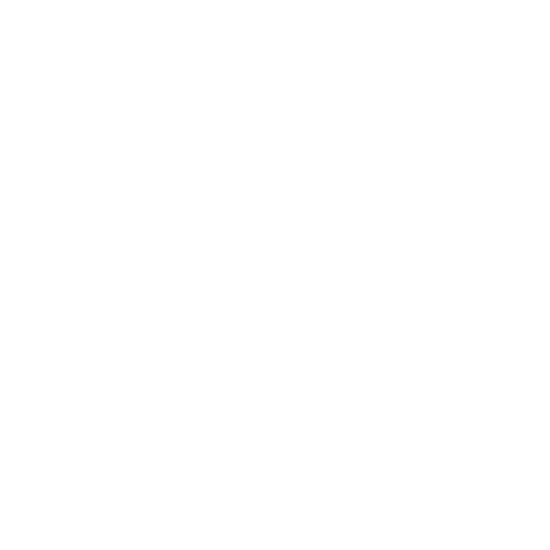 Mr. Mayor